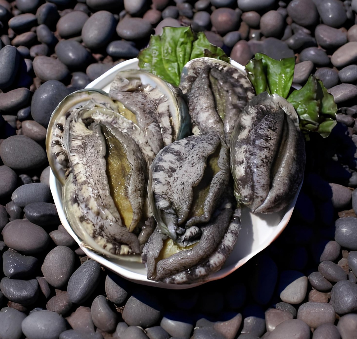 완도 활전복 1kg 10미(100g내외)