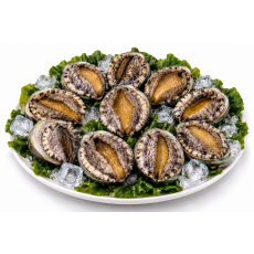 완도 활전복 1kg 10미(100g내외)