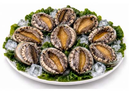 완도 활전복 1kg 10미(100g내외)