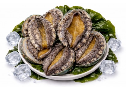 완도 활전복 1kg 9미(110g내외)