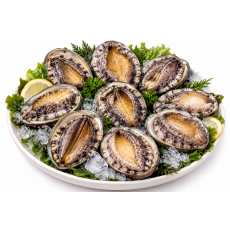 진도 활전복 1kg 9미(110g내외)