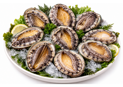 진도 활전복 1kg 9미(110g내외)