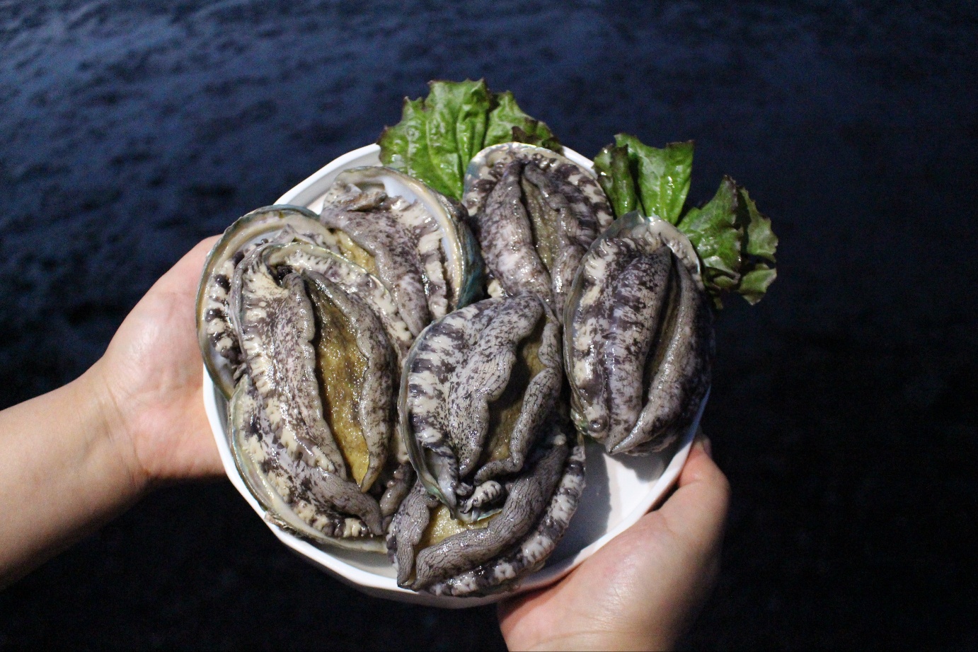 완도 활전복 1kg 8미(125g내외)