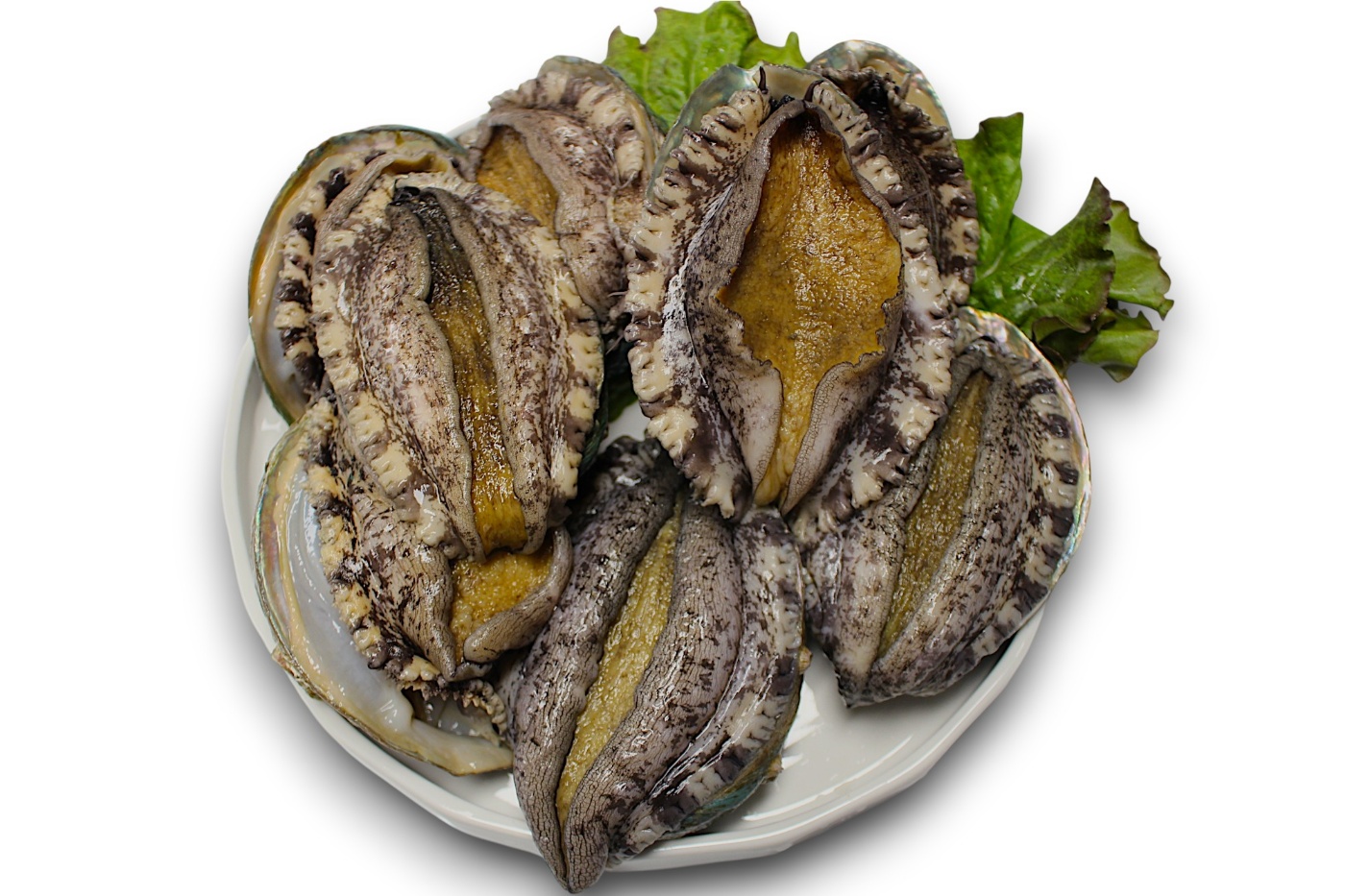 완도 활전복 1kg 7미(140g내외)