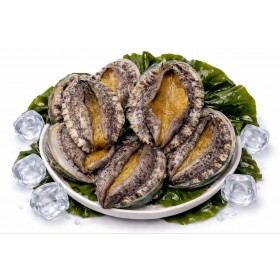 완도 활전복 1kg 7미(140g내외)