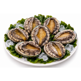 진도 활전복 1kg 7미(140g내외)