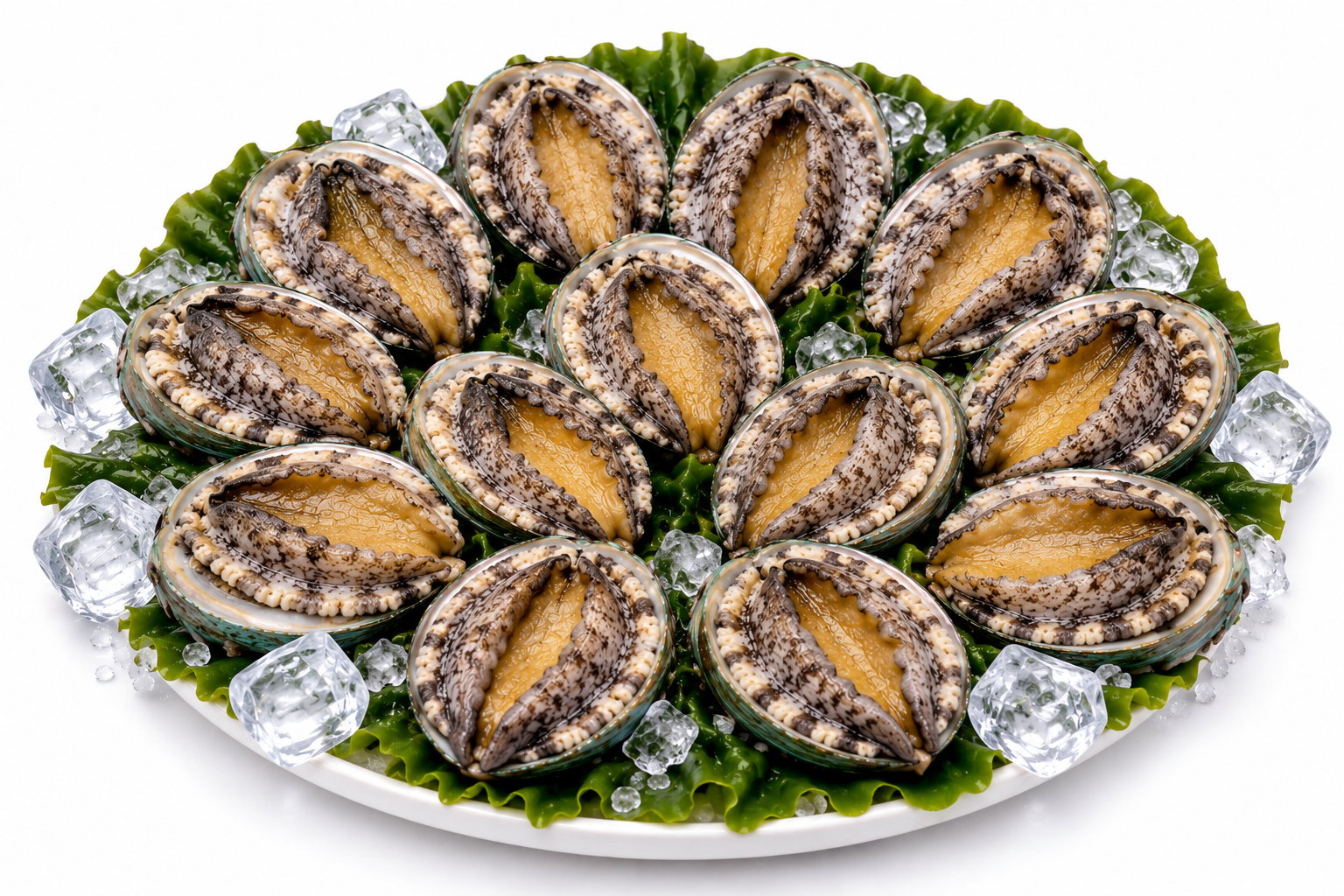진도 활전복 1kg 11미~12미(80g내외)