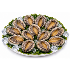 진도 활전복 1kg 11미~12미(80g내외)